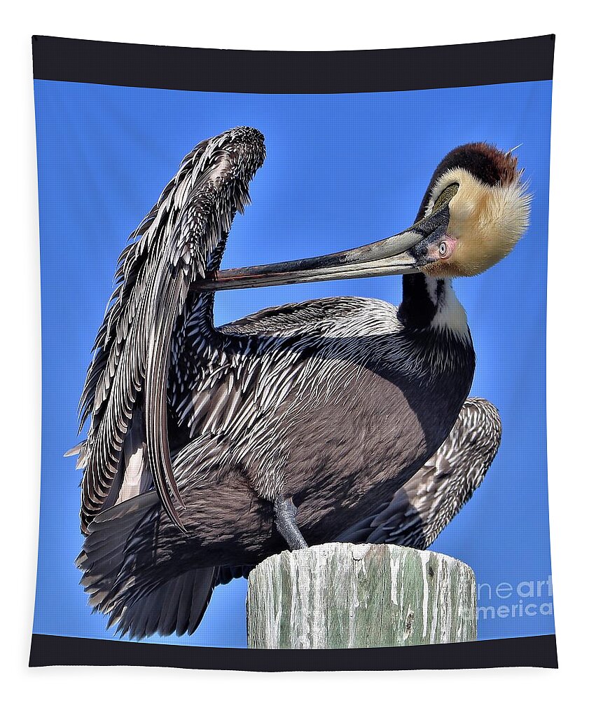 Pelican Tapestry featuring the photograph Time to Preen by Joanne Carey