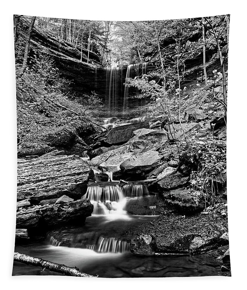 Tinker Falls Tapestry featuring the photograph Tinker Falls by Doolittle Photography and Art