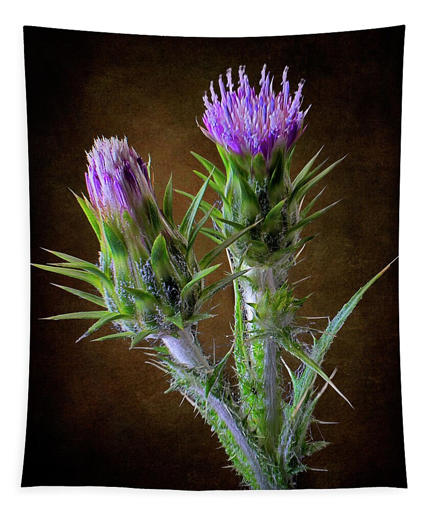 Tiny Thistle Tapestry featuring the photograph Tiny Thistle by Endre Balogh