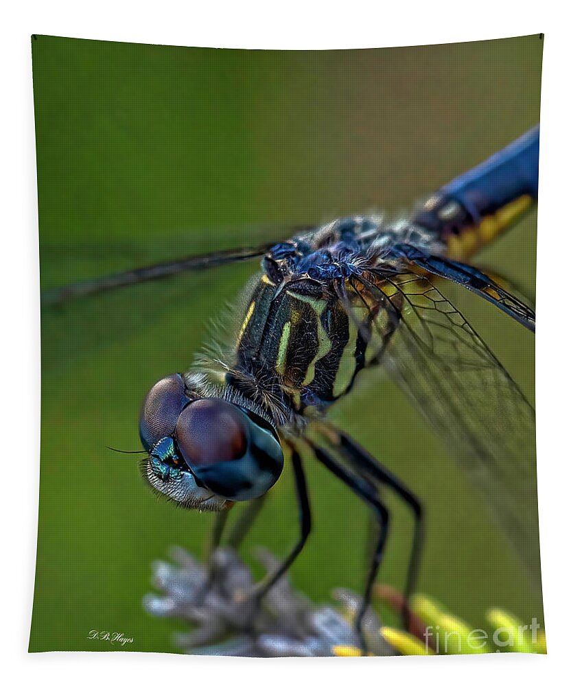 Insects Tapestry featuring the photograph Tiny World 2 by DB Hayes