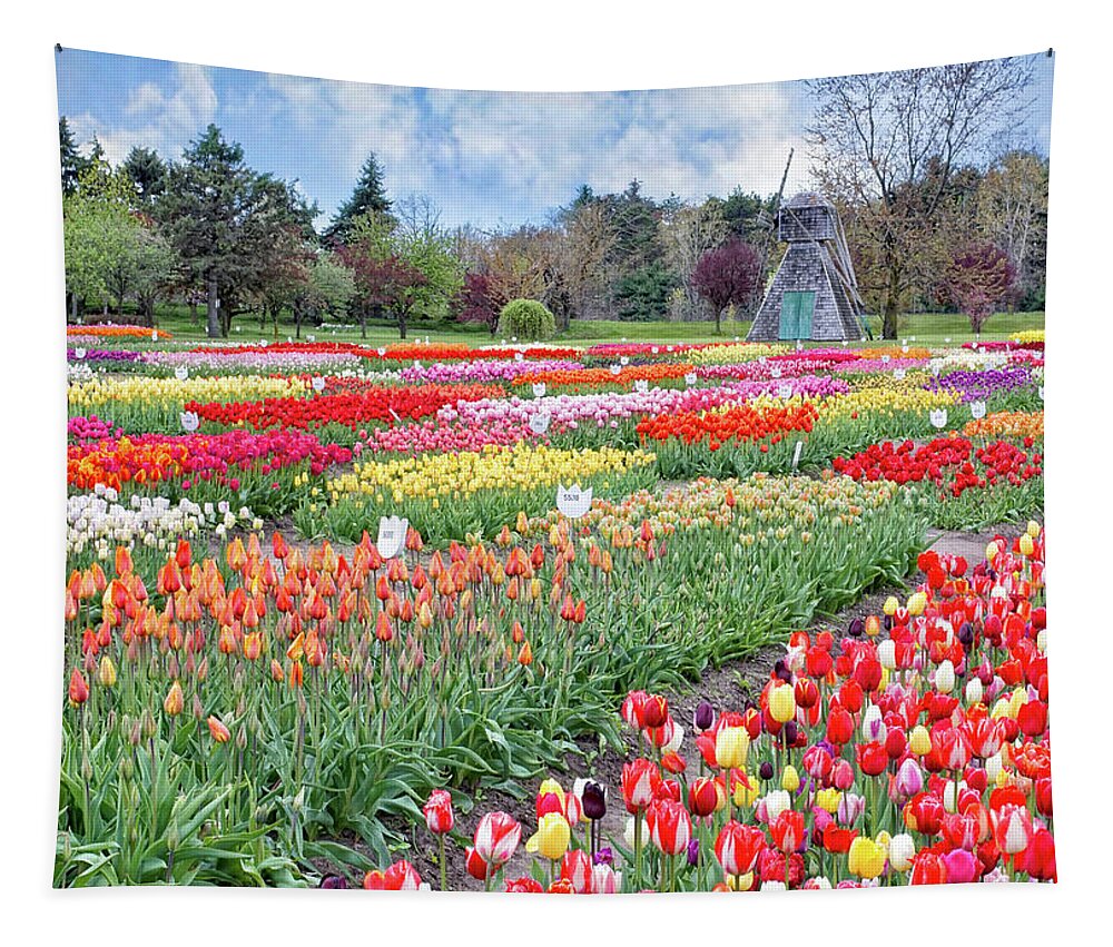 Holland Michigan Tapestry featuring the photograph Tip Toe Through The Tulips by Kathi Mirto