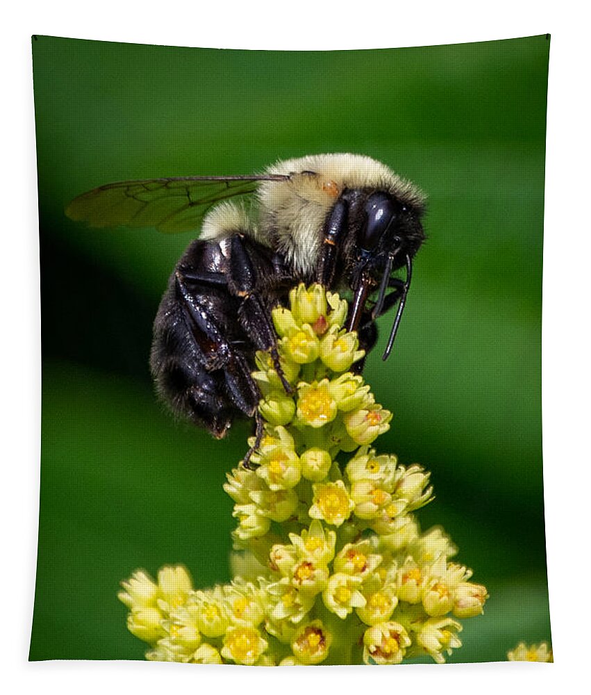 Bee Tapestry featuring the photograph Tippy Top by Linda Bonaccorsi