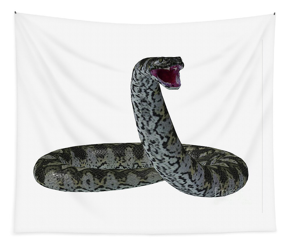 Titanoboa Tapestry featuring the digital art Titanoboa Snake on White by Corey Ford