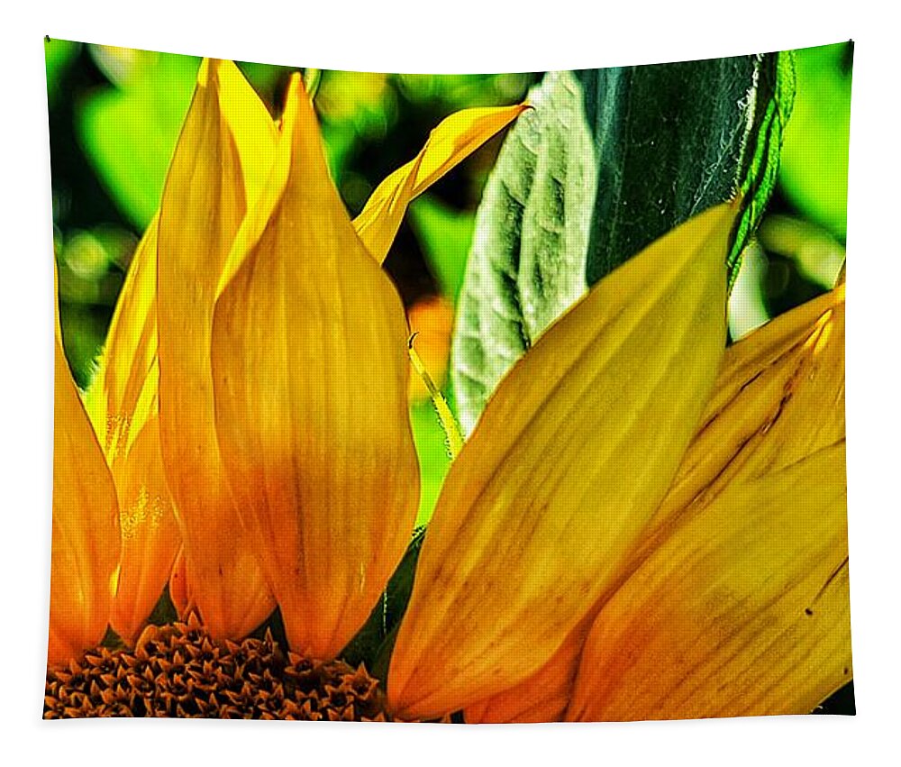 Sunflower Tapestry featuring the photograph Today is a Good Day by Terry Ann Morris