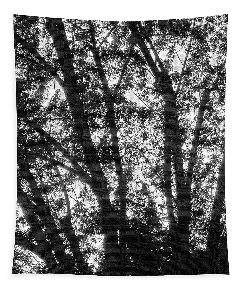 Tom Stanley Janca Black And White Tapestry featuring the digital art Tom Stanley Janca Black And White, Trees Abstract by Tom Janca