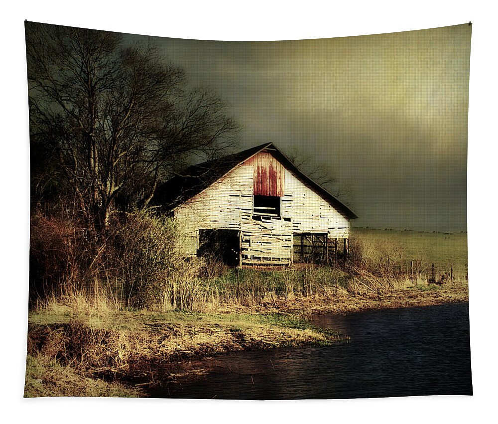 Barn Tapestry featuring the photograph Too Close for Comfort by Julie Hamilton