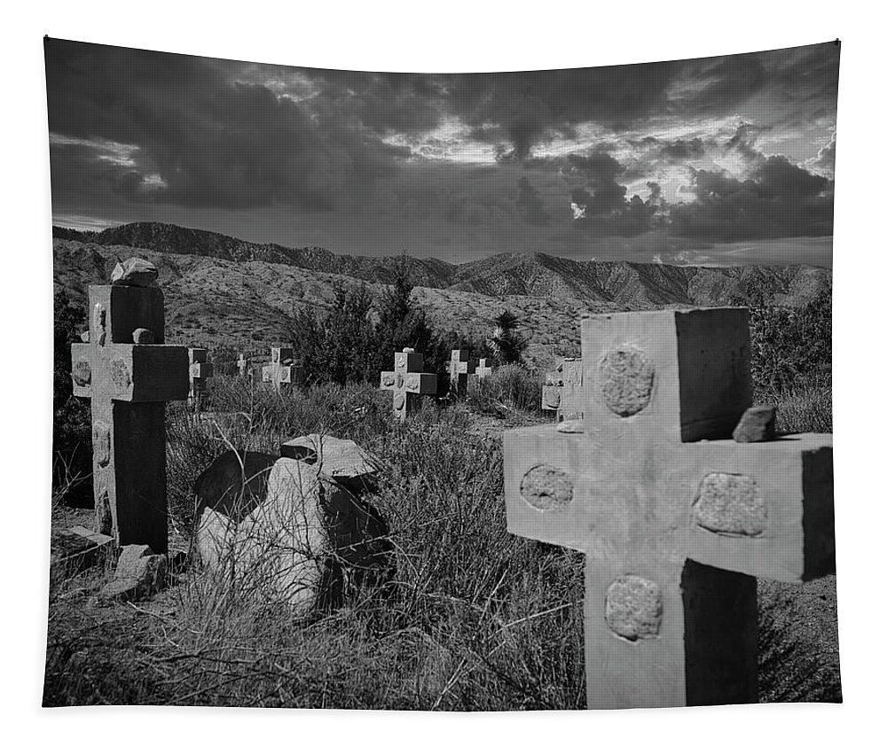 Cemetary Tapestry featuring the photograph Too Dust by Daniel Hayes