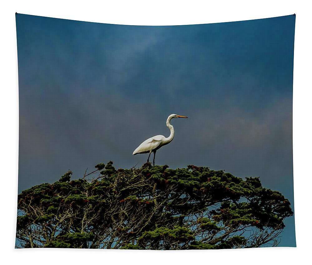 Bird Tapestry featuring the photograph Top Of The World by Cathy Kovarik