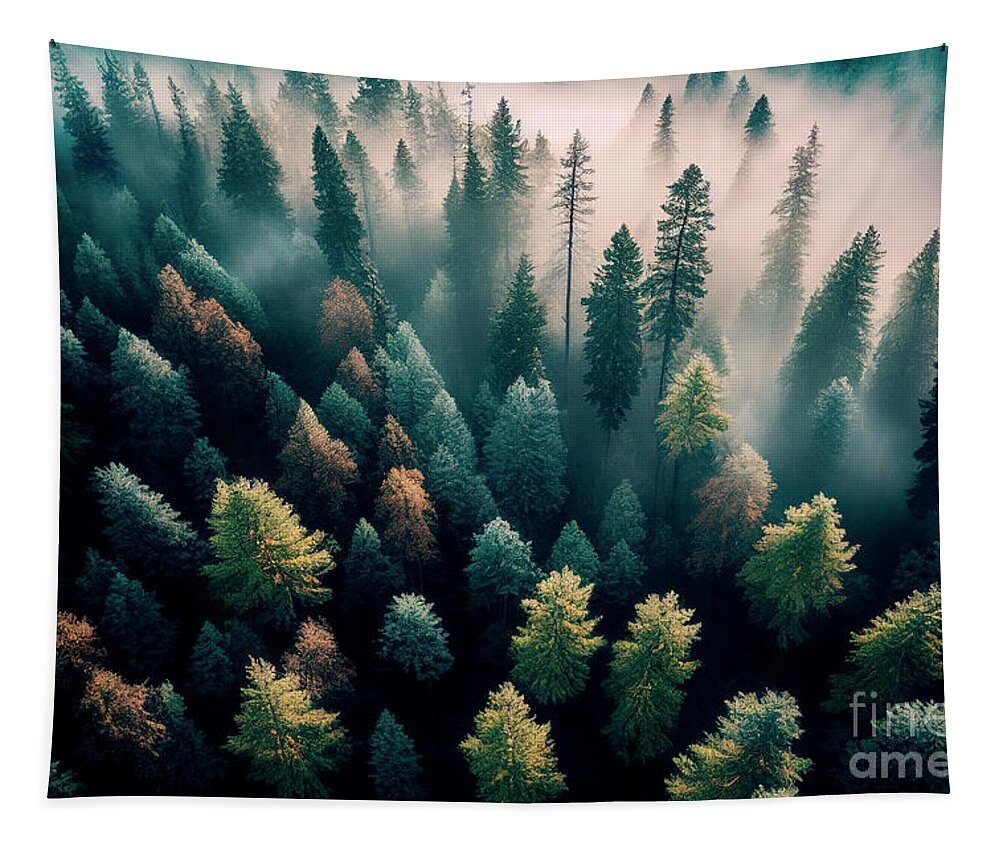 Pine Tapestry featuring the photograph Top view of dark green forest landscape by Jelena Jovanovic