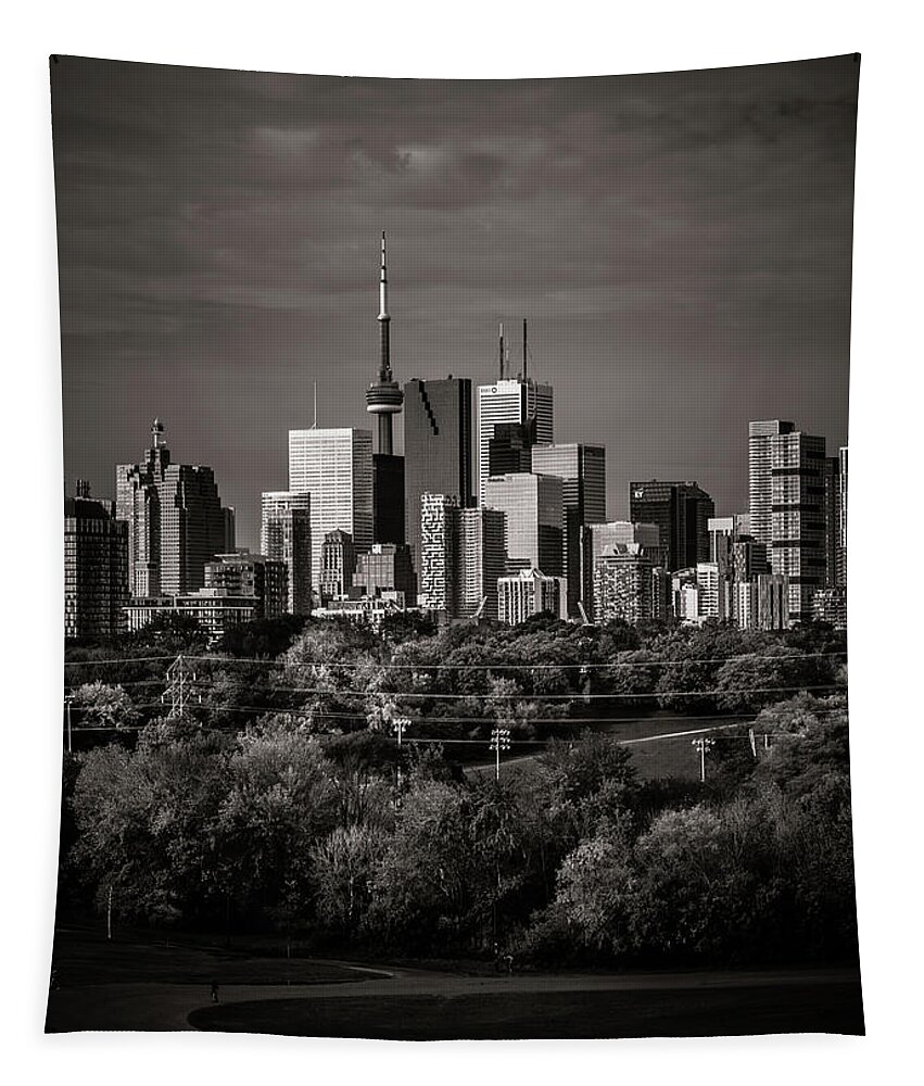 Brian Carson Tapestry featuring the photograph Toronto Skyline From Riverdale Park No 6 by Brian Carson