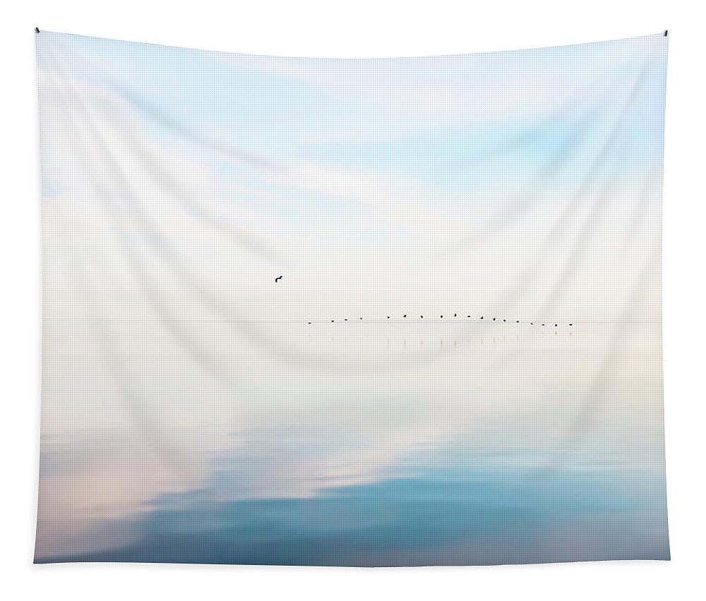Bombay Beach Tapestry featuring the photograph Touch Down by Carmen Kern