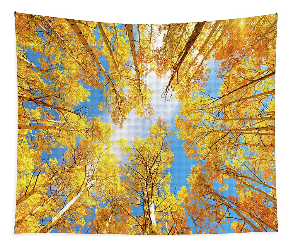 Aspens Tapestry featuring the photograph Towering Aspens by Darren White