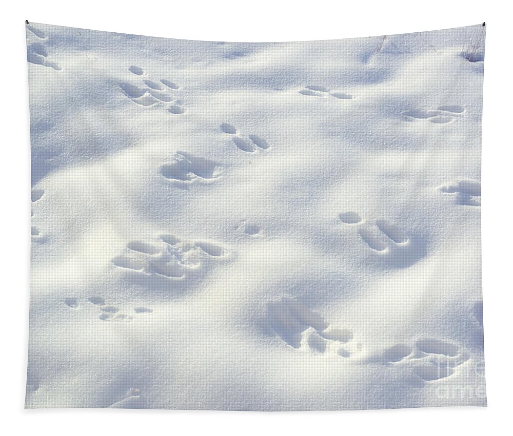 Snow Tapestry featuring the photograph Tracks and Shadows by Kae Cheatham
