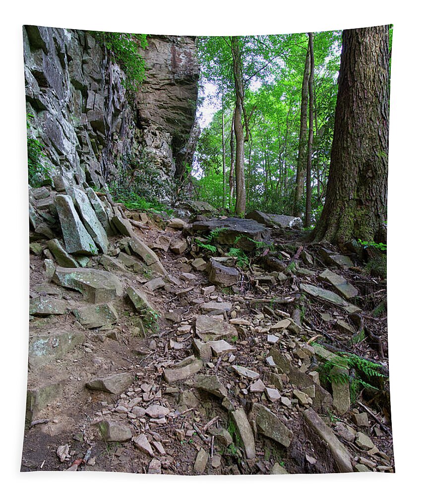 Ozone Falls Tapestry featuring the photograph Trail at Ozone Falls 3 by Phil Perkins