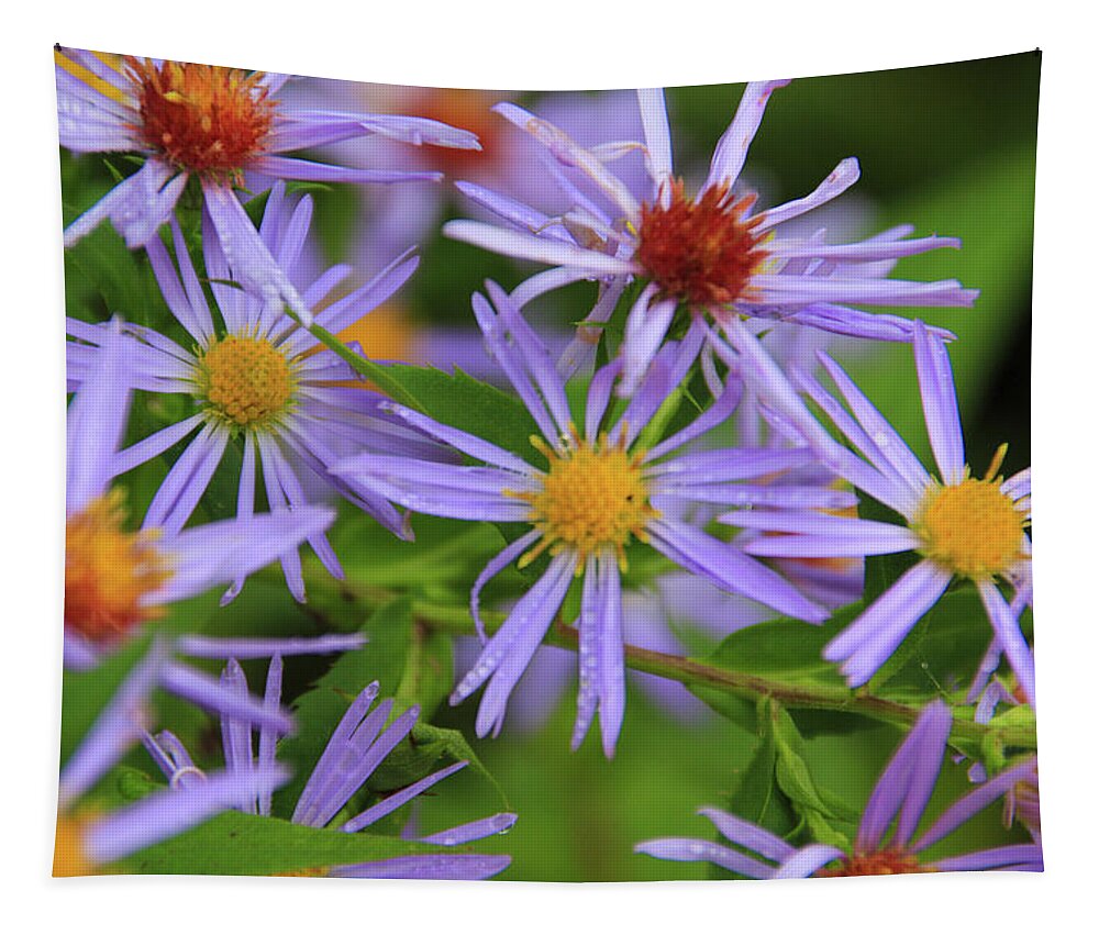 Flowers Tapestry featuring the photograph Trail Blooms by Richie Parks