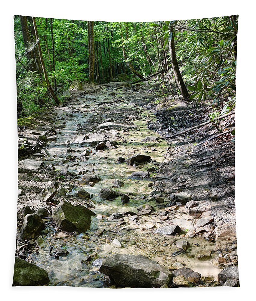 Trail Tapestry featuring the photograph Trail Is A Creek by Phil Perkins
