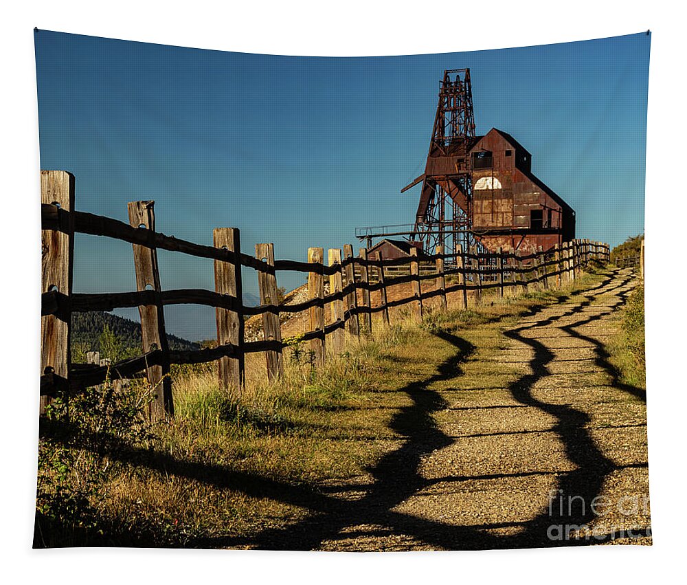 Landscape Tapestry featuring the photograph Trail to the Mine by Seth Betterly