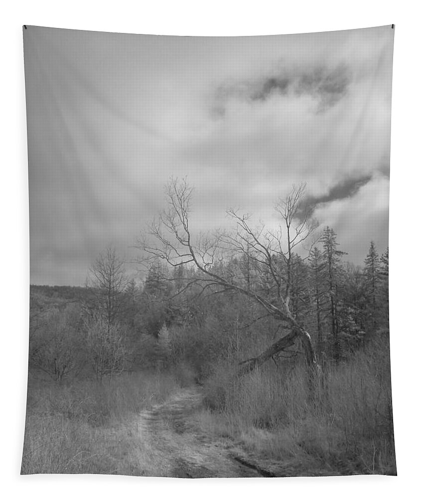 Infra Red Tapestry featuring the photograph Trailhead Tree by Alan Norsworthy