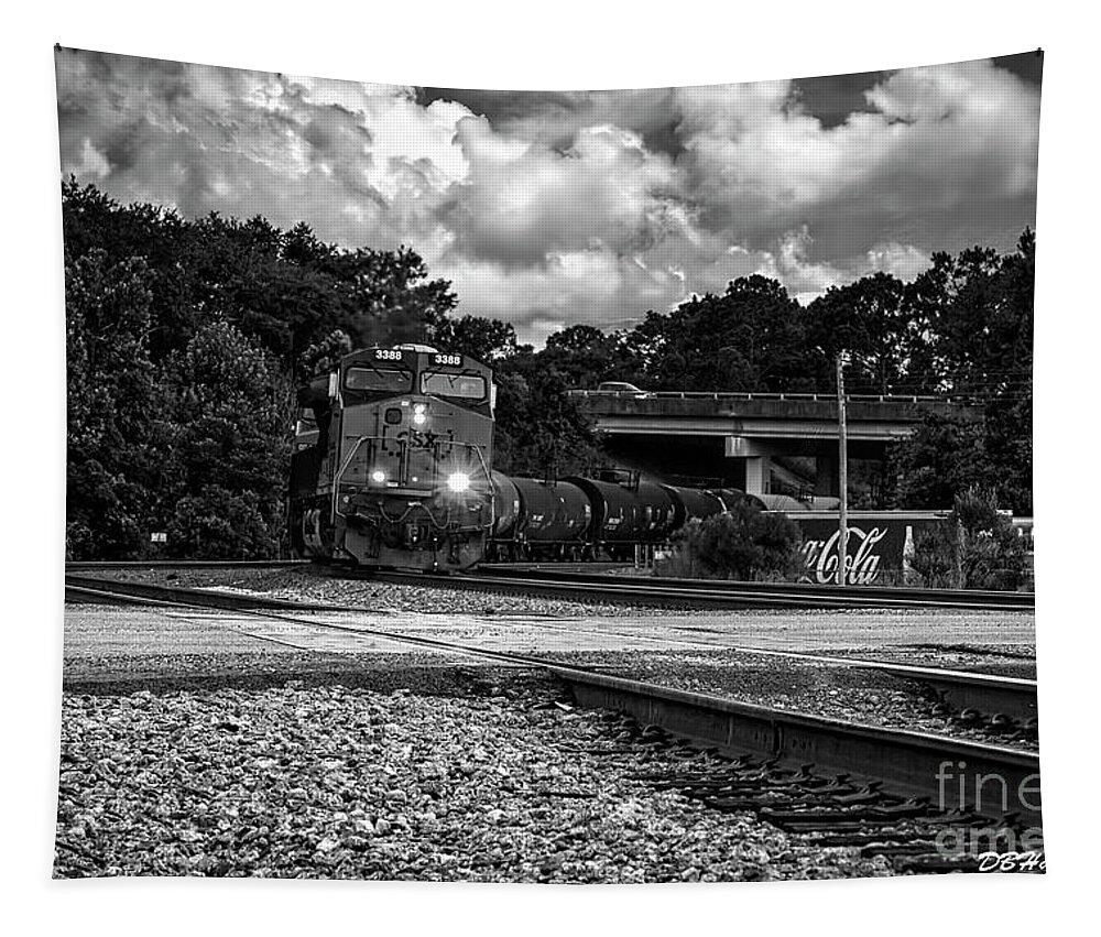 Trains Tapestry featuring the photograph Train and Tracks in Black-White by DB Hayes