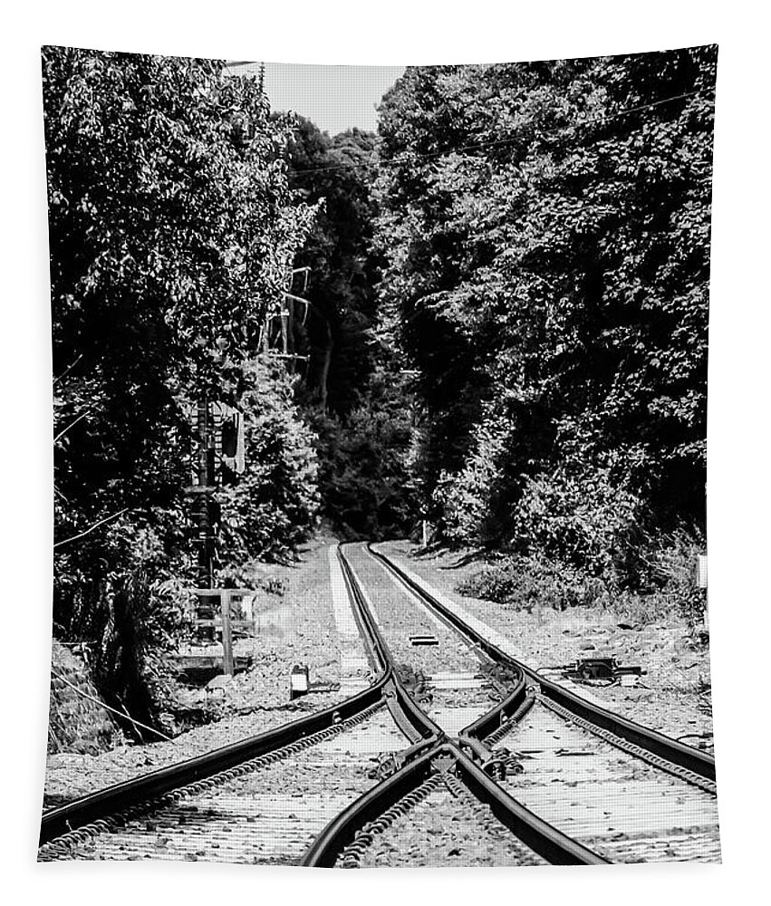 Train Tracks Rr Rail Road B&w Trees Tapestry featuring the photograph Train Tracks1 by John Linnemeyer