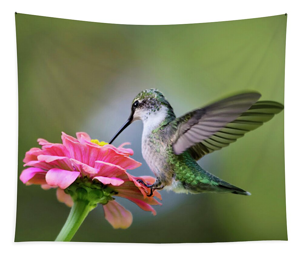 Hummingbird Tapestry featuring the photograph Tranquil Joy Hummingbird Square by Christina Rollo