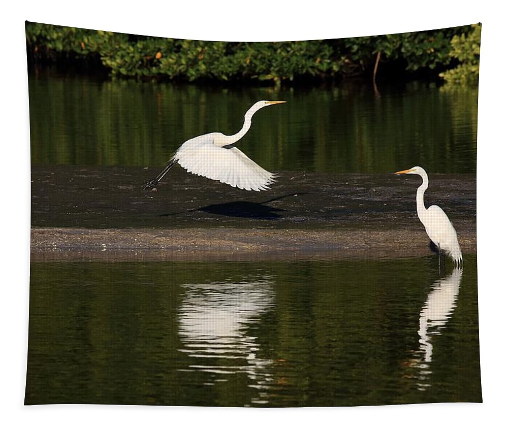 Great Egret Tapestry featuring the photograph Tranquil Scenery 1 by Mingming Jiang