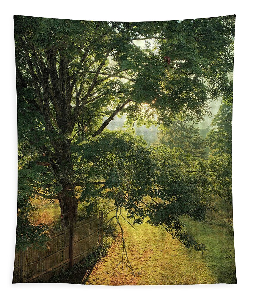 Backyard Tapestry featuring the photograph Tranquility by Carol Whaley Addassi