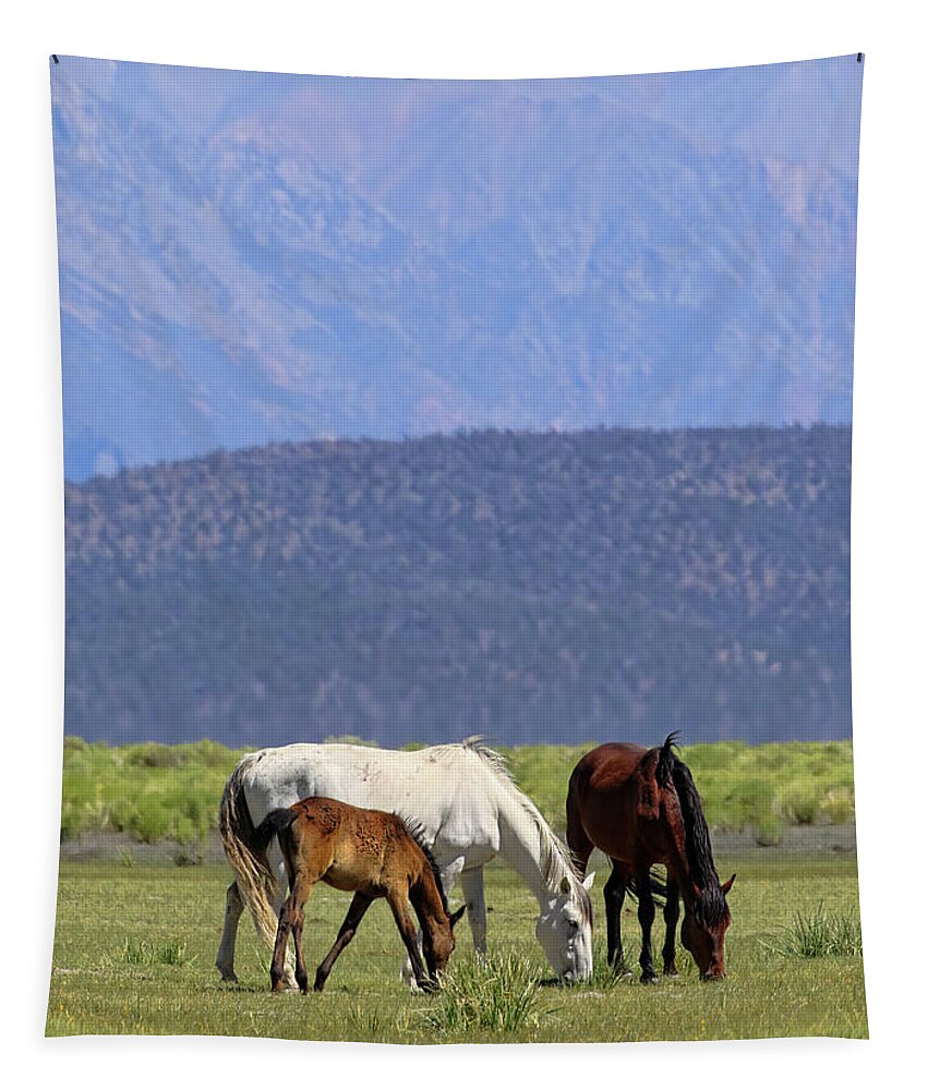Eastern Sierra Tapestry featuring the photograph Tranquility in the Meadow I by Cheryl Strahl