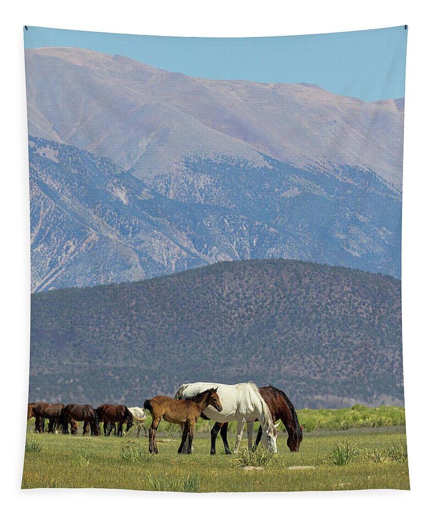 Eastern Sierra Tapestry featuring the photograph Tranquility in the Meadow II by Cheryl Strahl