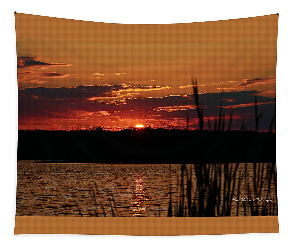 Peacful Tapestry featuring the photograph Tranquility by Mary Walchuck