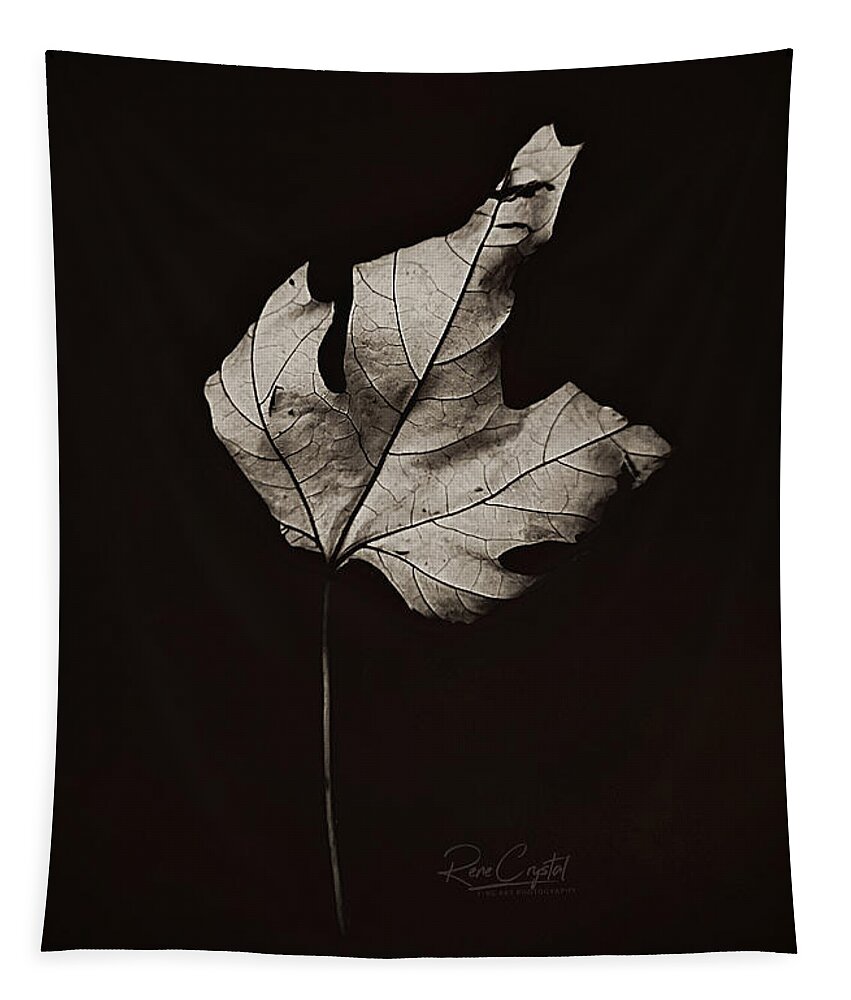 Leaf Tapestry featuring the photograph Traveling Solo by Rene Crystal