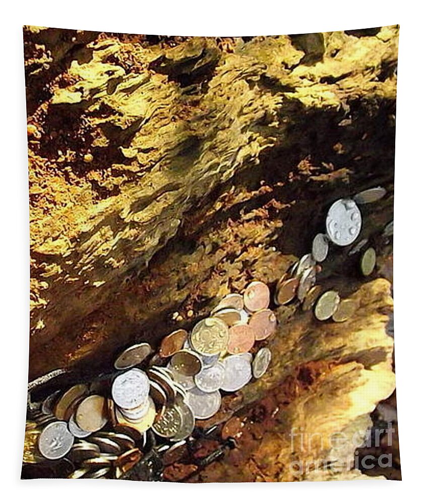 Old Coins Tapestry featuring the photograph Treasure Bark 4 by Denise Morgan