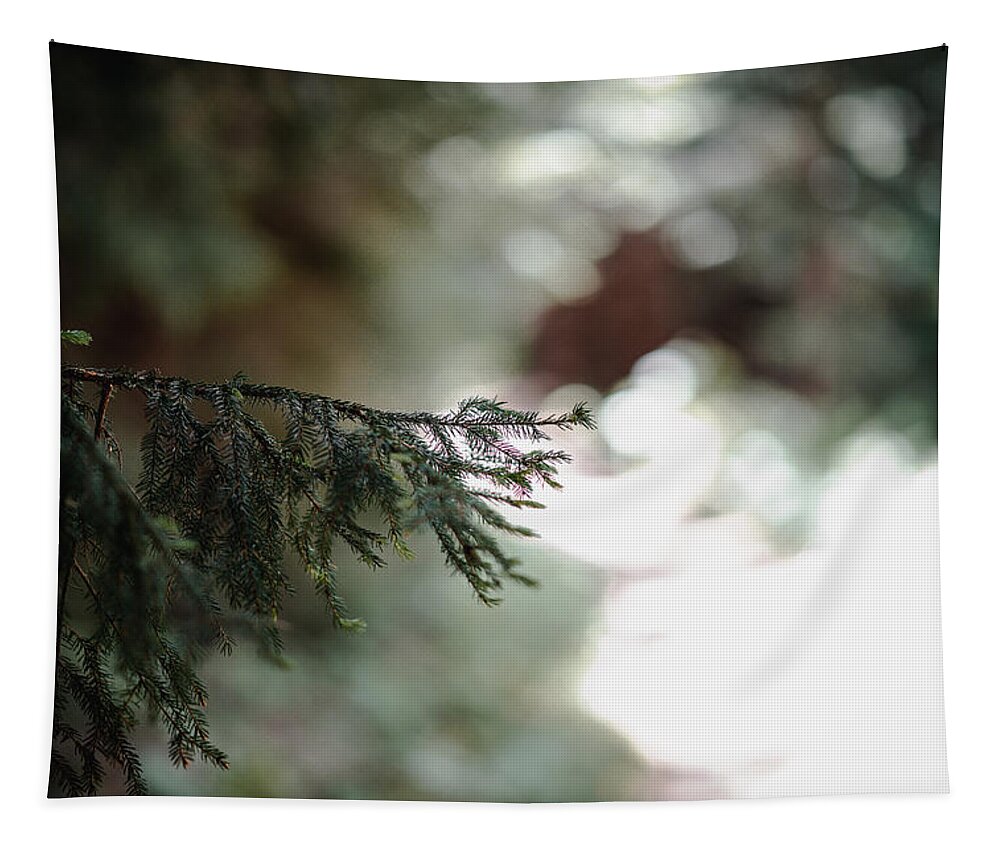 Photography Tapestry featuring the photograph Tree Branch Along the Path by Evan Foster