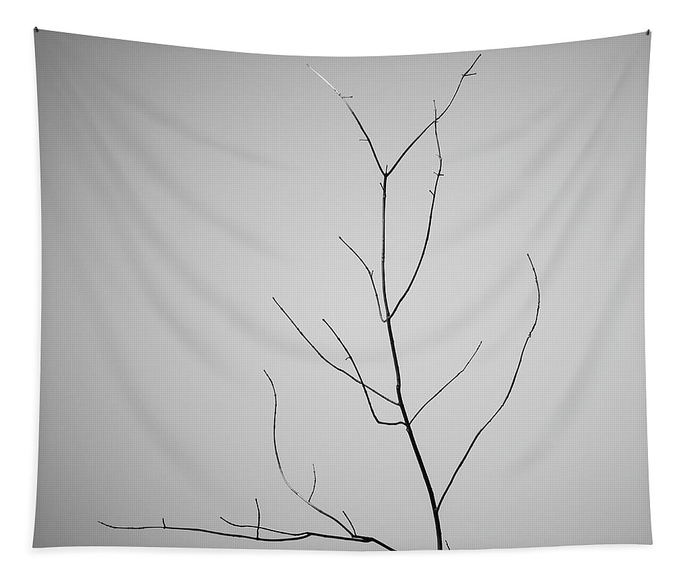 Abstract Tapestry featuring the photograph Tree Branches IV BW by David Gordon
