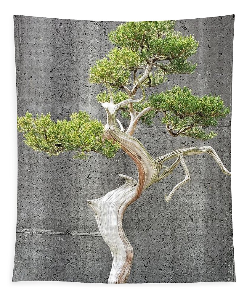 Bonsai Tapestry featuring the photograph Tree Dancer by Anita Adams