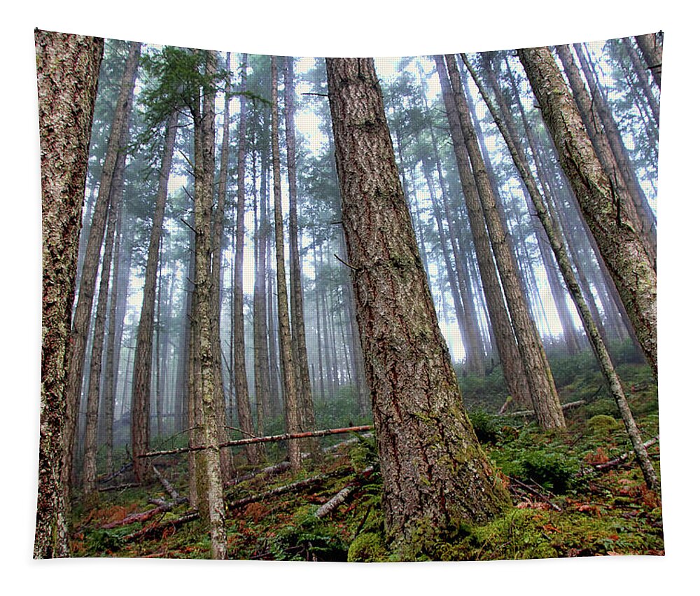 Forest Tapestry featuring the photograph Tree Huggers Anonymous by Peggy Collins
