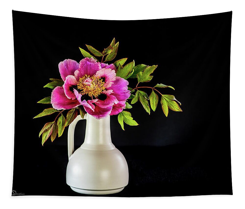 Tree Peony Tapestry featuring the photograph Tree peony in full blown Lan He Paeonia suffruticosa rockii i by Torbjorn Swenelius