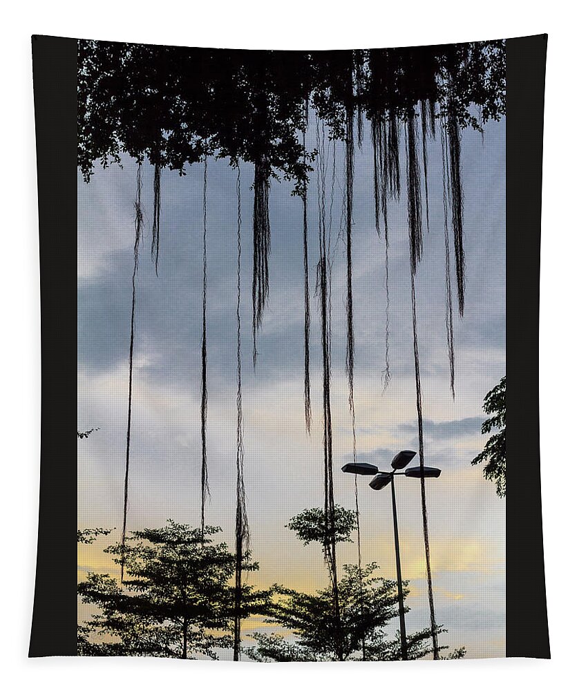 Tree Tapestry featuring the photograph Tree Silhouette by Elaine Teague