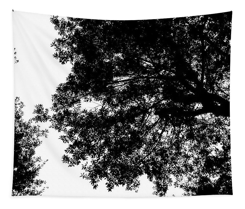 Tree Tapestry featuring the photograph Tree silhouette by Fabiano Di Paolo