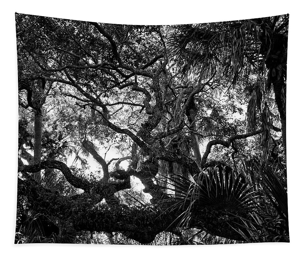 Texture Tapestry featuring the photograph Tree Textures by George Taylor