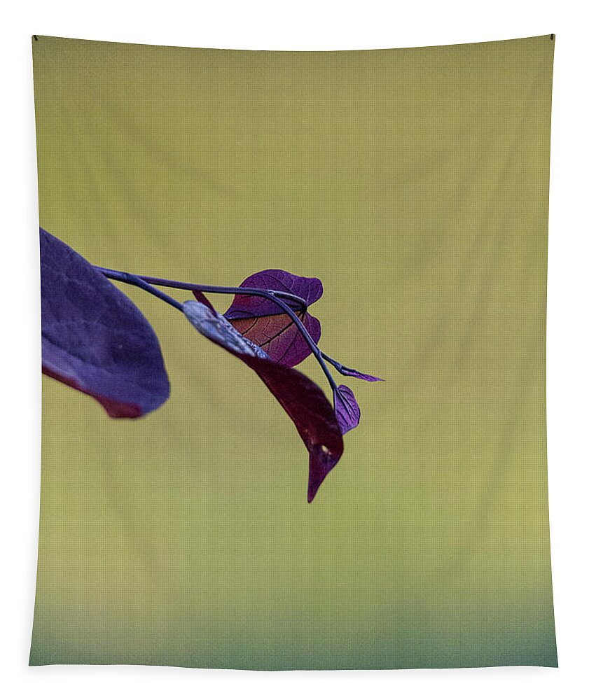 Redbud Tapestry featuring the photograph Treebud by David Beechum