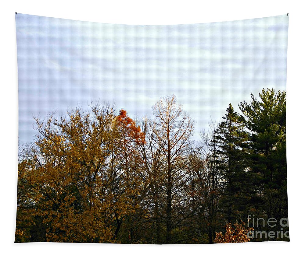 Landscape Tapestry featuring the photograph Trees and Branches in the Fall by Frank J Casella