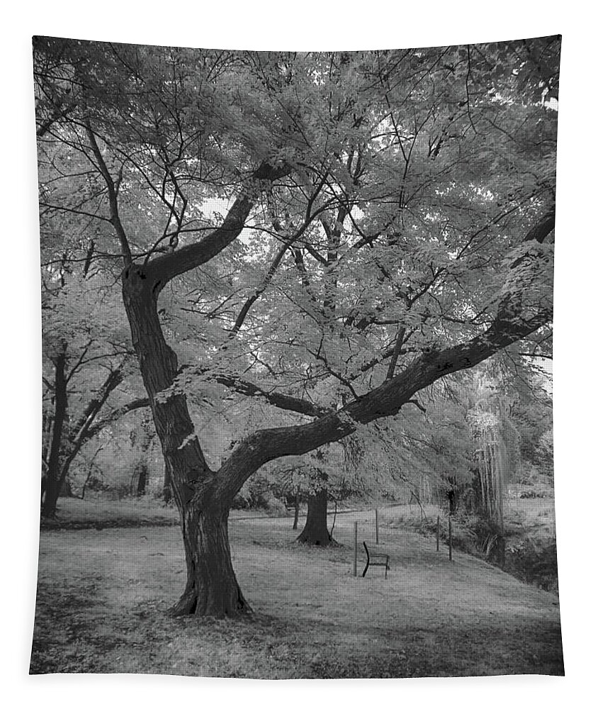 Infrared Tapestry featuring the photograph Trees at the park in black and white by Alan Goldberg