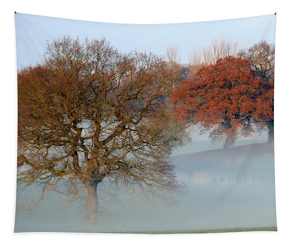 Trees Tapestry featuring the photograph Trees Fourteen by Ian Hutson