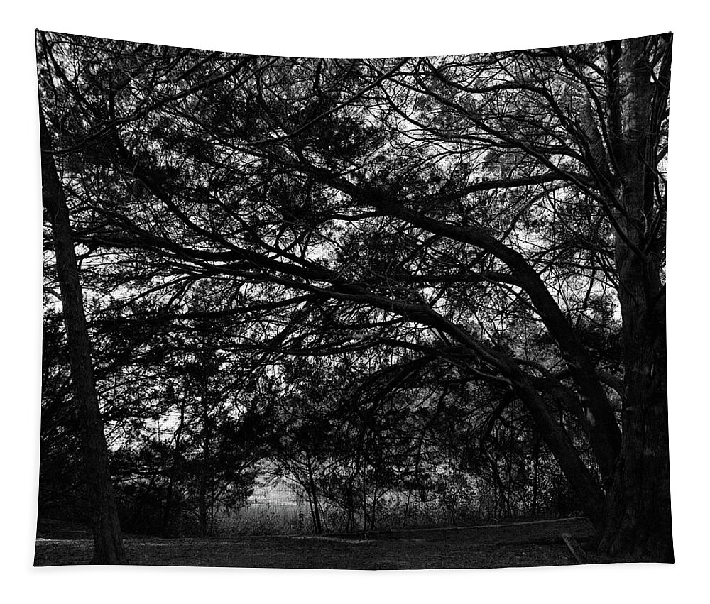 Georgia Tapestry featuring the photograph Trees, Hammock, Marshes of Glynn by John Simmons