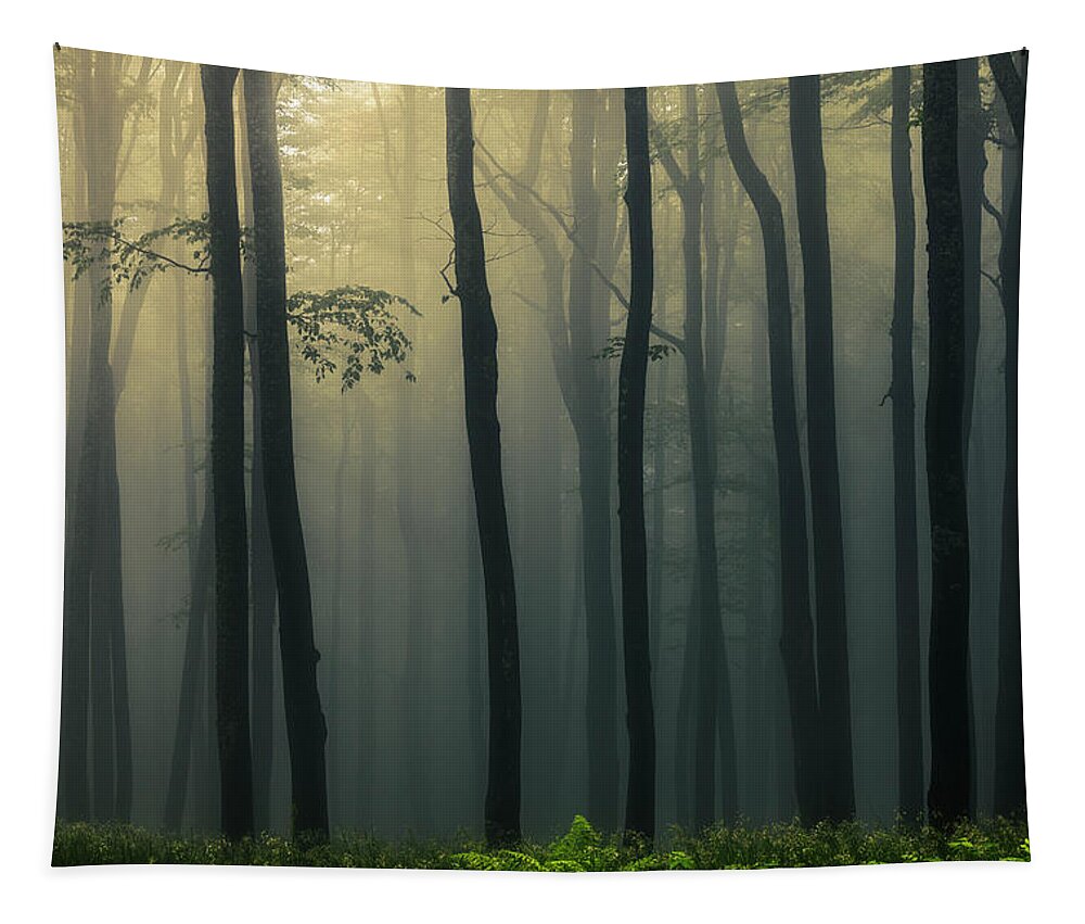 Balkan Mountains Tapestry featuring the photograph Trees In Dark Forest by Evgeni Dinev