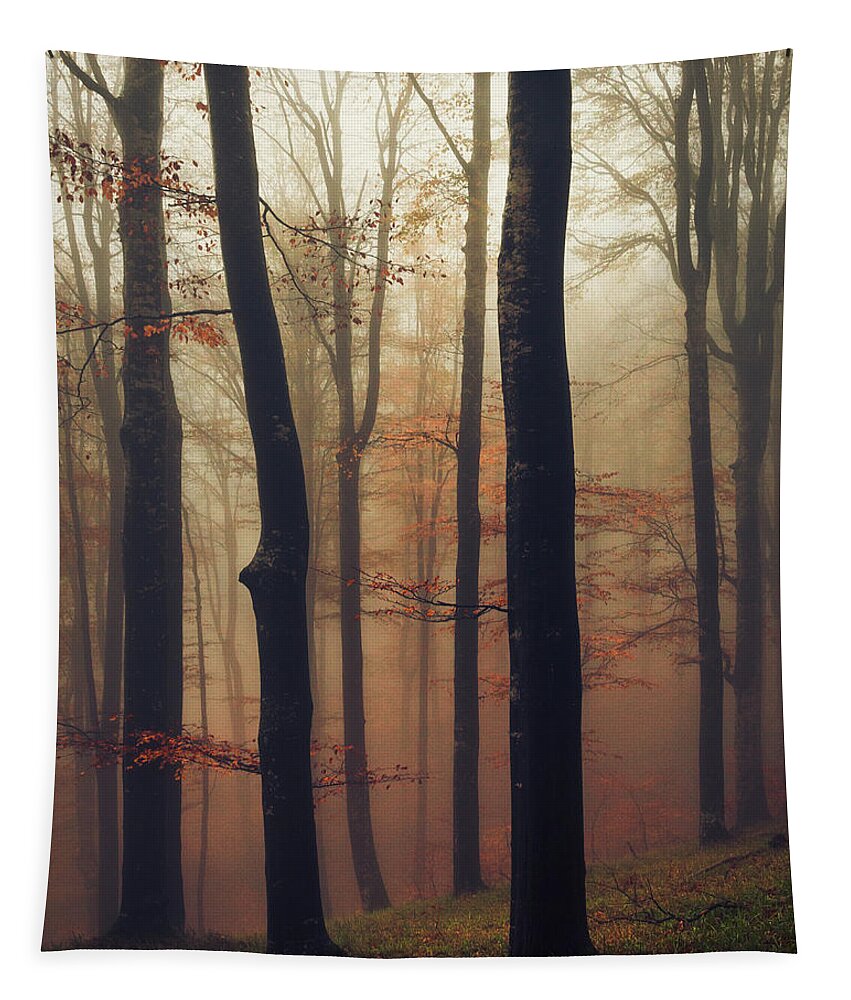 Balkan Mountains Tapestry featuring the photograph Trees in the Mist by Evgeni Dinev