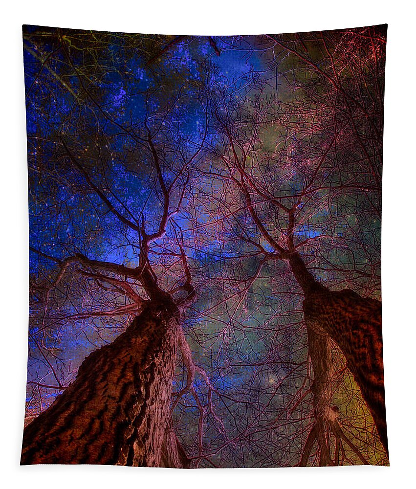 Trees Tapestry featuring the digital art Trees Pointing Toward Heaven by Russ Considine