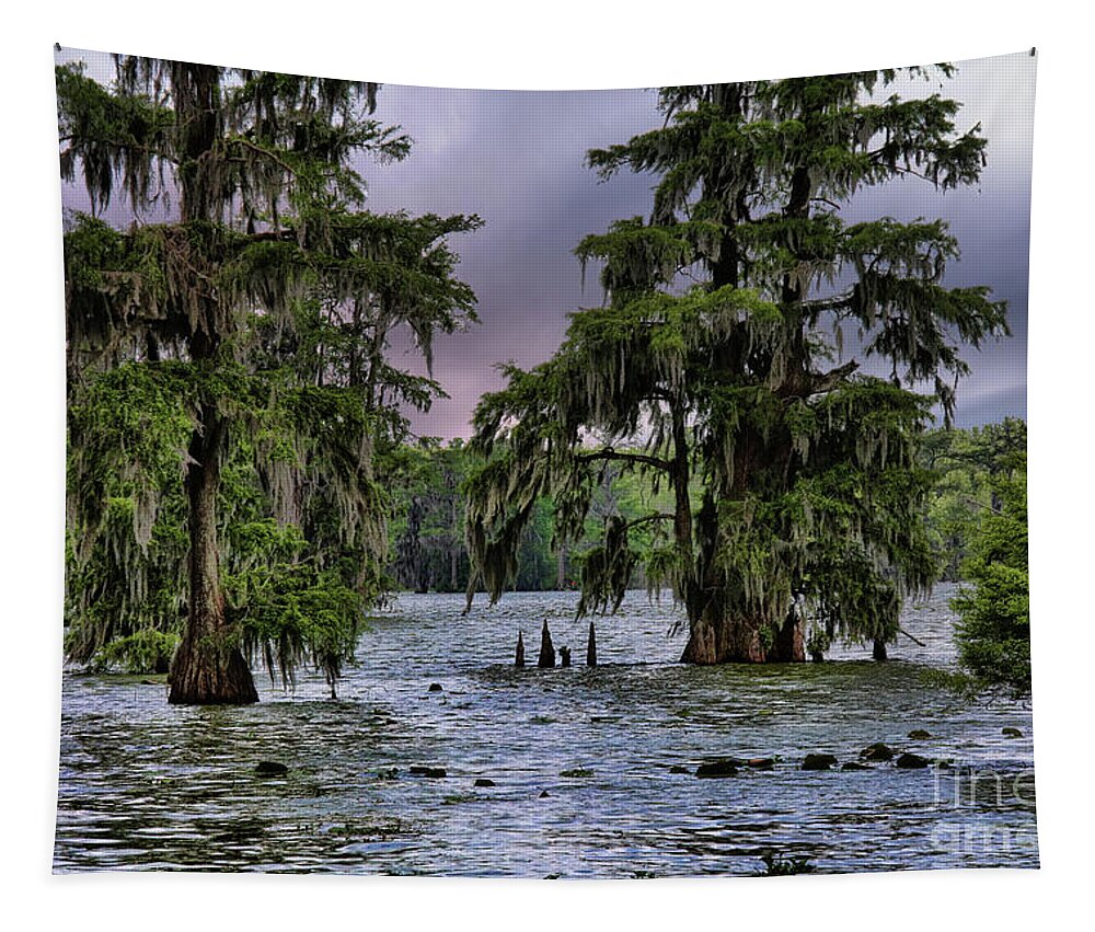 Louisiana Tapestry featuring the photograph Trees Swamp Spanish Moss Lake Martin Louisiana Color by Chuck Kuhn