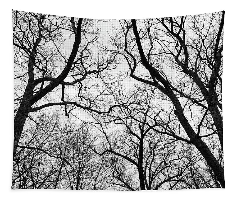 Black And White Tapestry featuring the photograph Treetops Blackstone Gorge BW by David Gordon